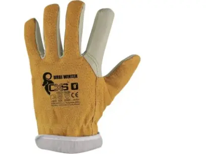 119345-urbi_winter_1